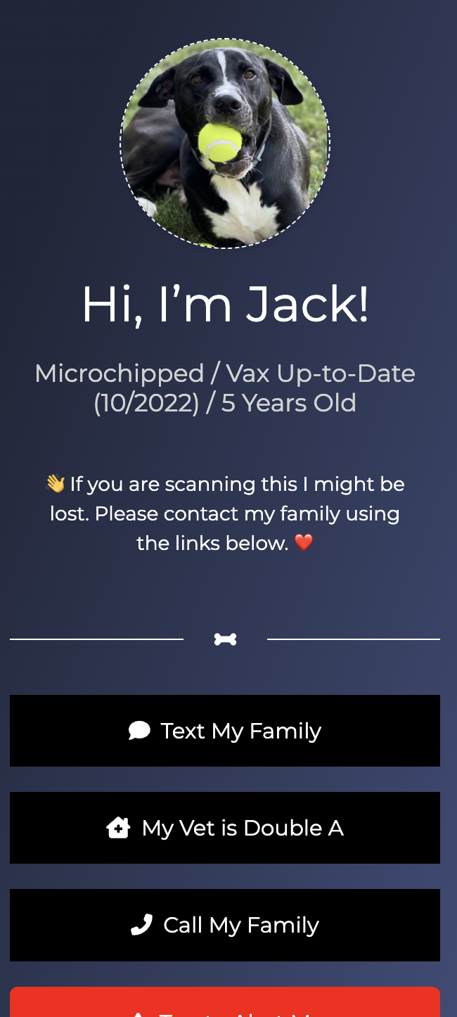 Jack — Pet ID Card